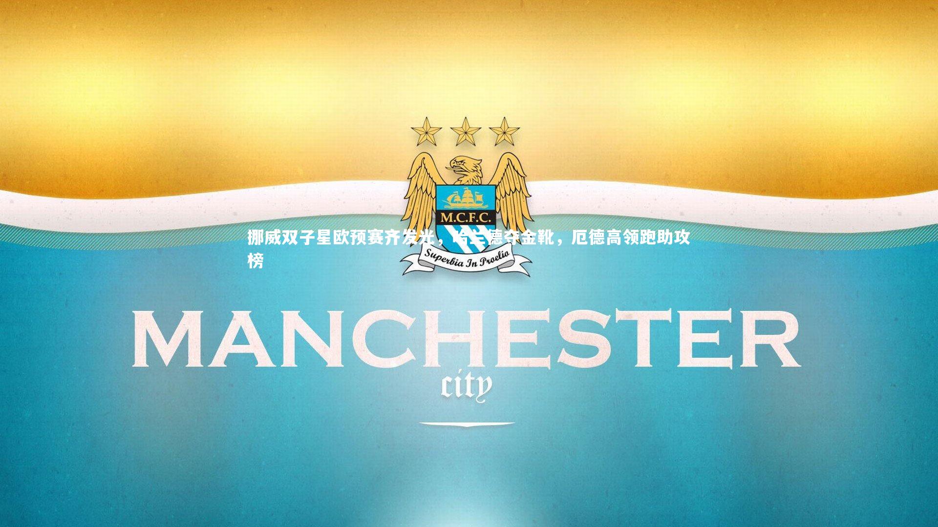 挪威双子星欧预赛齐发光，哈兰德夺金靴，厄德高领跑助攻榜